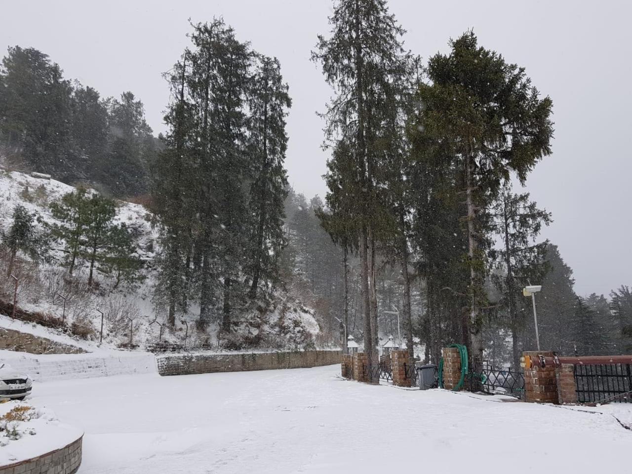 Royal Tulip Luxury Hotel, Kufri, Shimla Extérieur photo